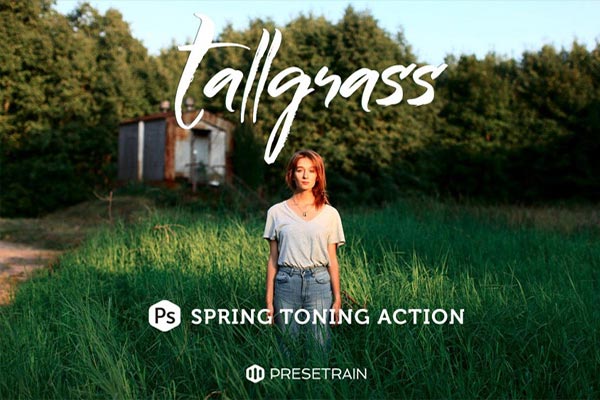 22+ Grass Photoshop Actions | Free & Premium Photoshop Files Downloads